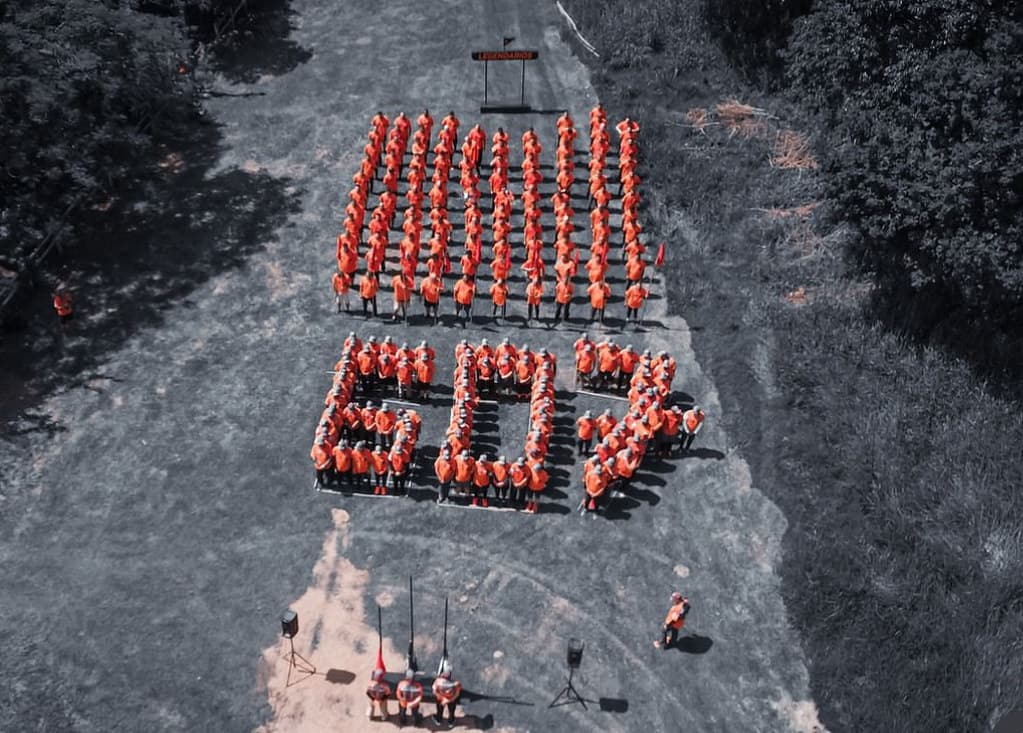 TOP #607 VALE DA ONÇA